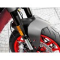 DBK Special Parts (Ducabike) Carbon Front Fender for Ducati Monster 937